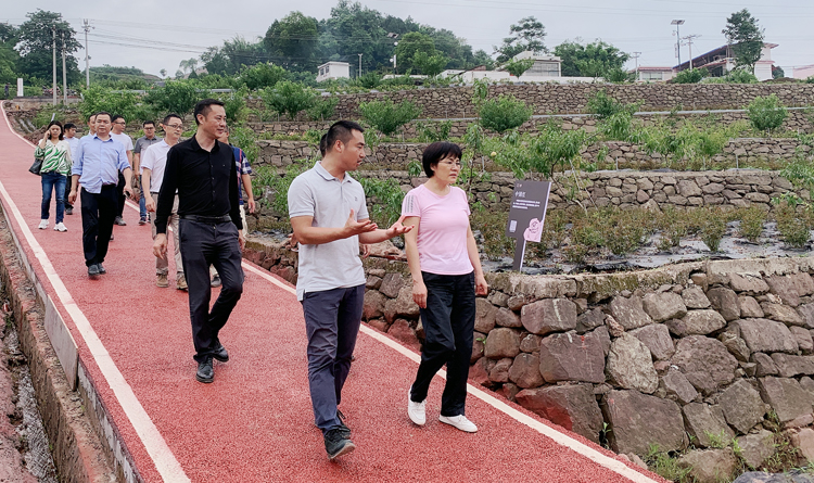 龚书记考察京坪村“玫鳞花溪”基地建设现场4.jpg