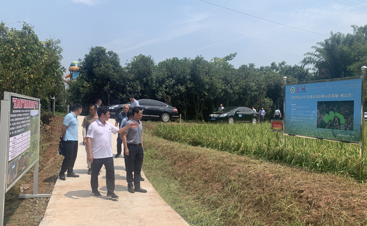 四川省科技厅副厅长陈学华考察调研四川省酿酒专用粮工程技术中心科研示范基地情况2.jpg 四川省科技厅副厅长陈学华考察调研四川省酿酒专用粮工程技术中心科研示范基地情况2.jpg